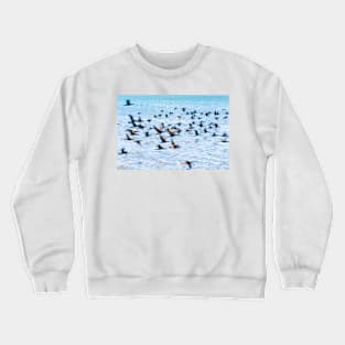 Flight of cormorant blurred in motion in flight over blue water Crewneck Sweatshirt